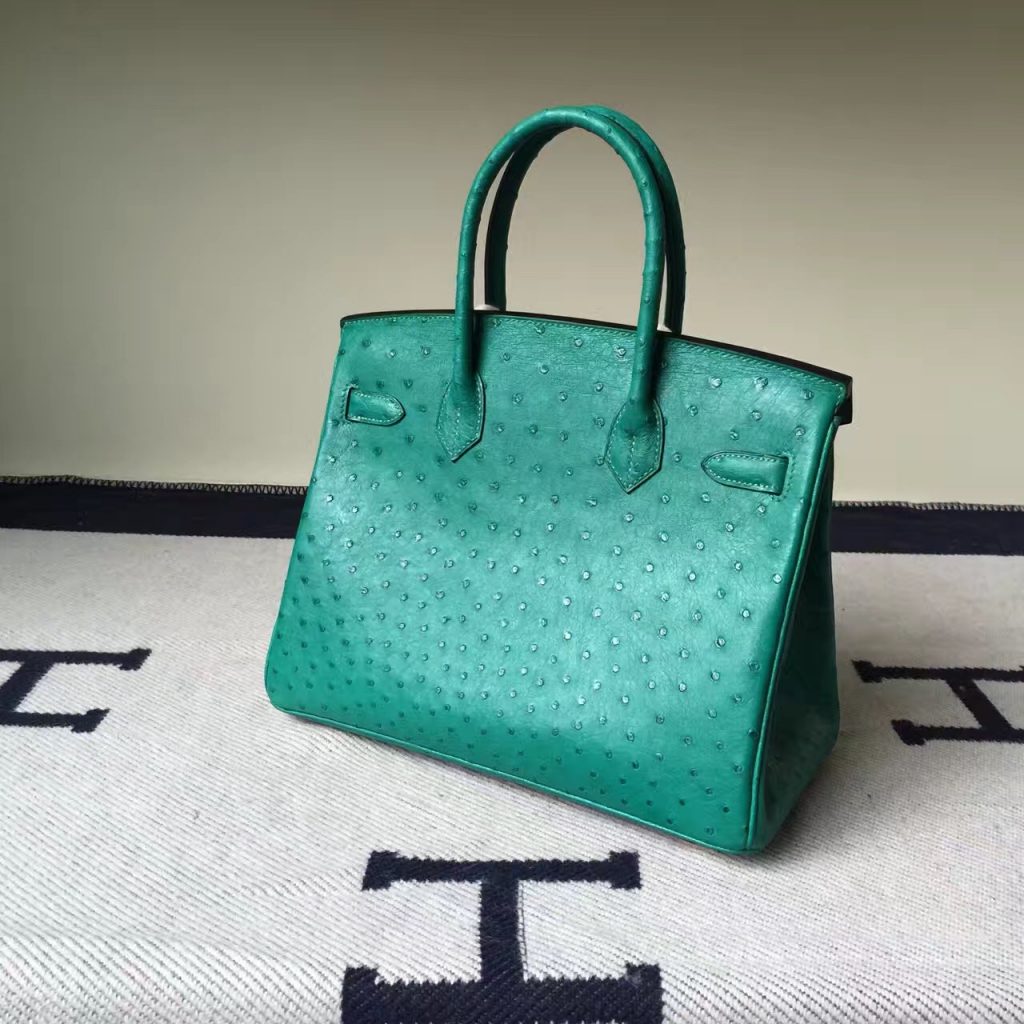 New Arrival Hermes Mint Green Ostrich Leather Birkin Bag30cm – HEMA ...