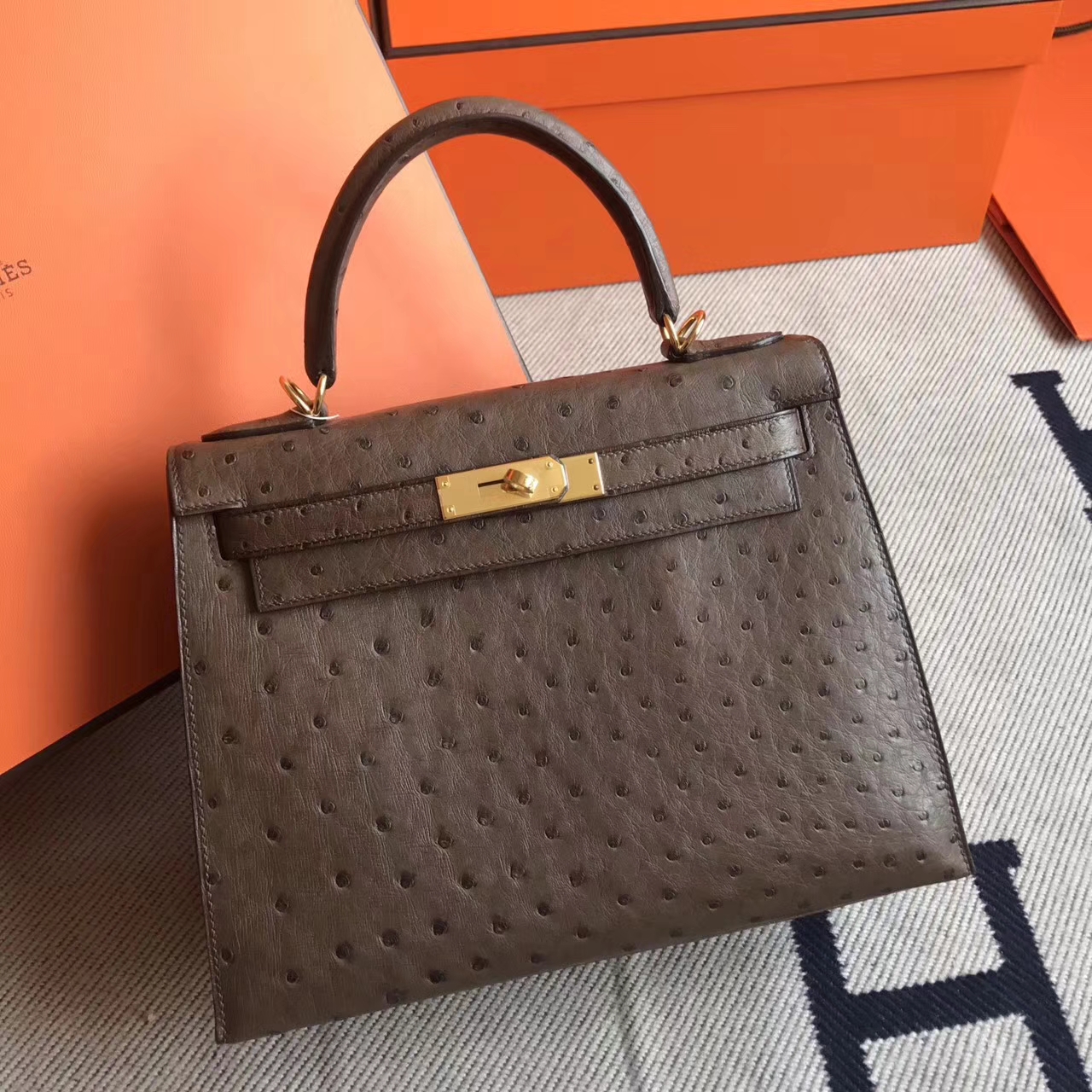 Pretty Hermes CC94 Terre Cuite Ostrich Leather Sellier Kelly