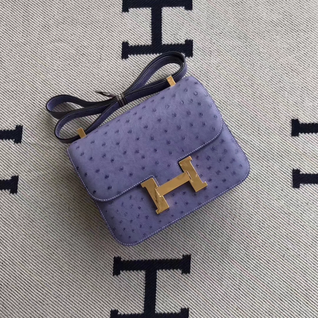 Hermès Constance Iii 24 Shoulder Bag In Violine Ostrich Leather in Purple
