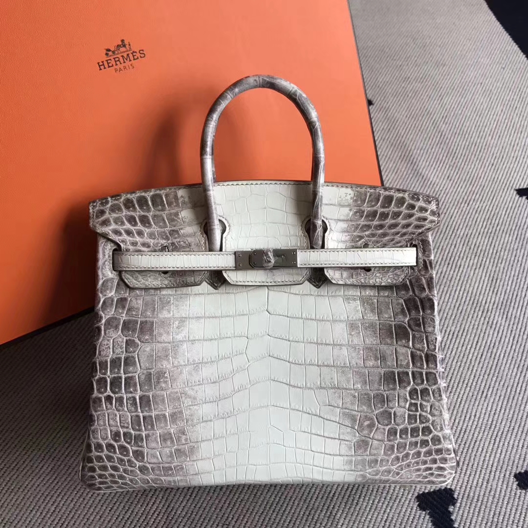 Luxury Hermes Himalaya Crocodile Leather Birkin Bag25cm Silver Hardware ...