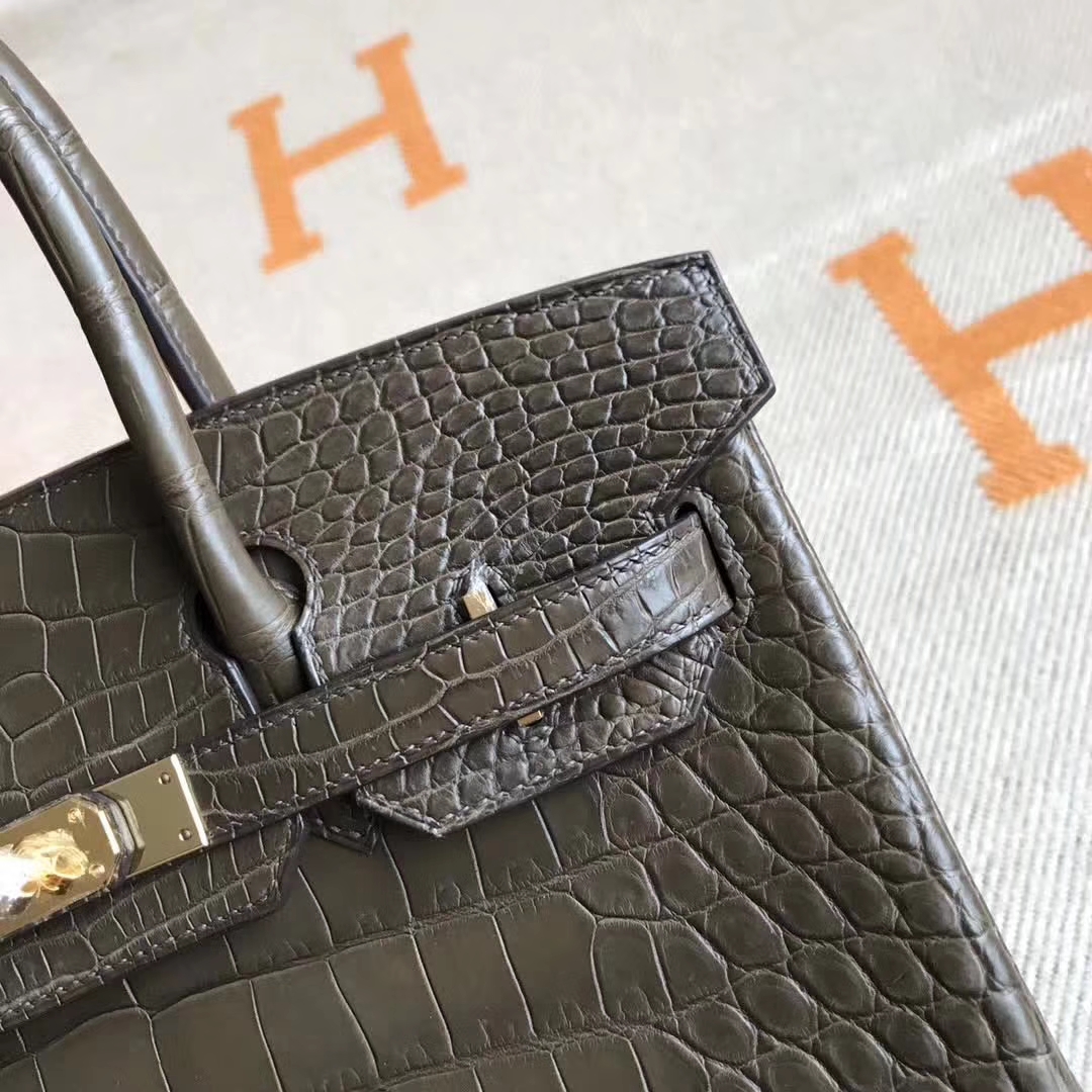 Wholesale Hermes Birkin30CM Etoupe Grey Original Crocodile Shiny Leather  Gold Hardware
