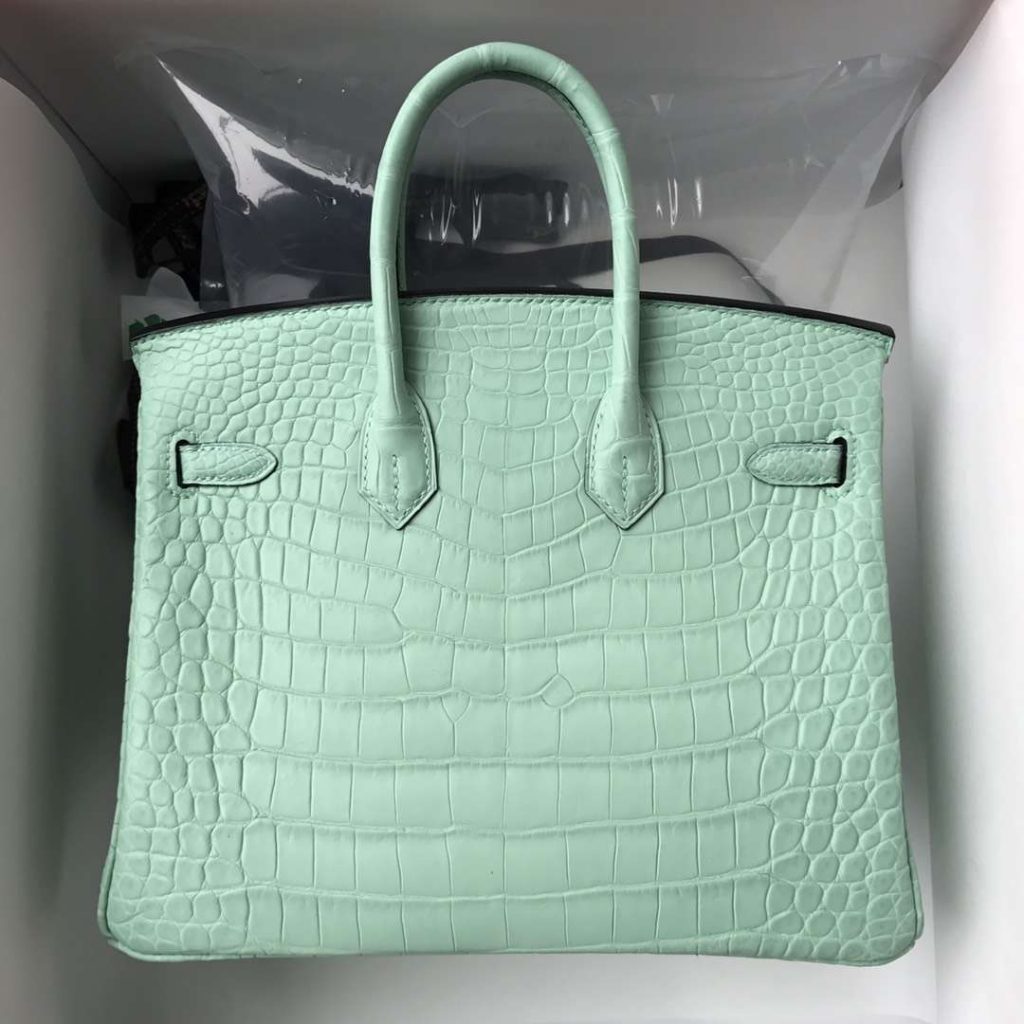 Fashion Hermes Alligator Matt Crocodile Birkin Bag25CM in 6U Mint Green