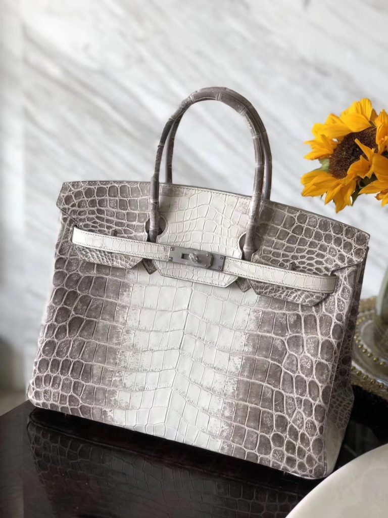 Luxury Hermes Himalaya Crocodile Leather Birkin35cm Bag Silver Hardware