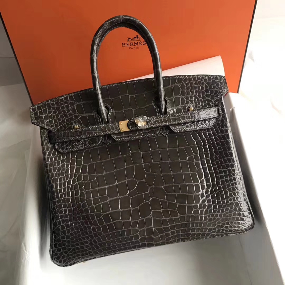 Luxury Hermes Shiny Crocodile Leather Birkin Bag25CM in 8P Penceil Grey ...
