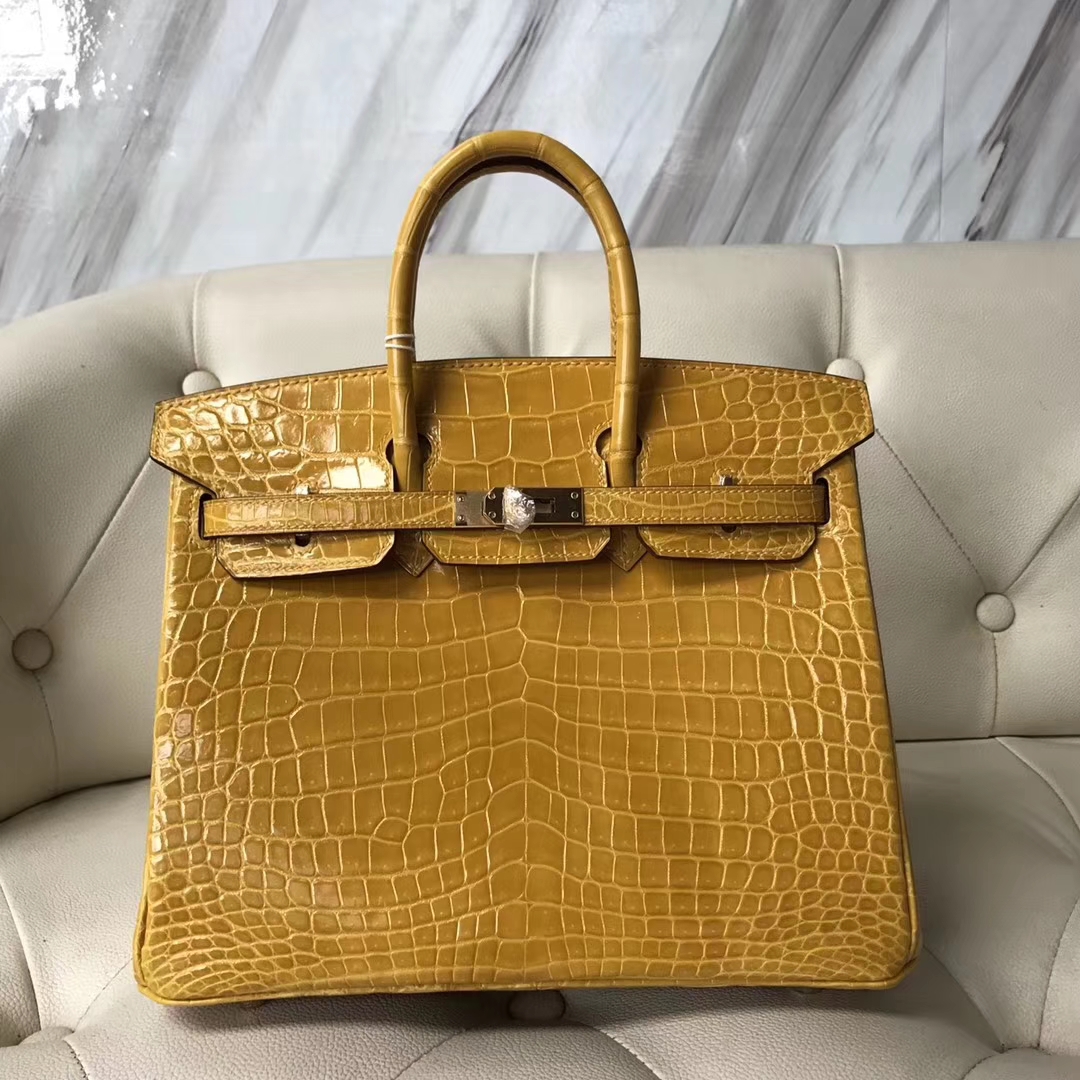 Luxury Hermes 9D Ambre Yellow Shiny Crocodile Birkin Bag25CM Gold ...