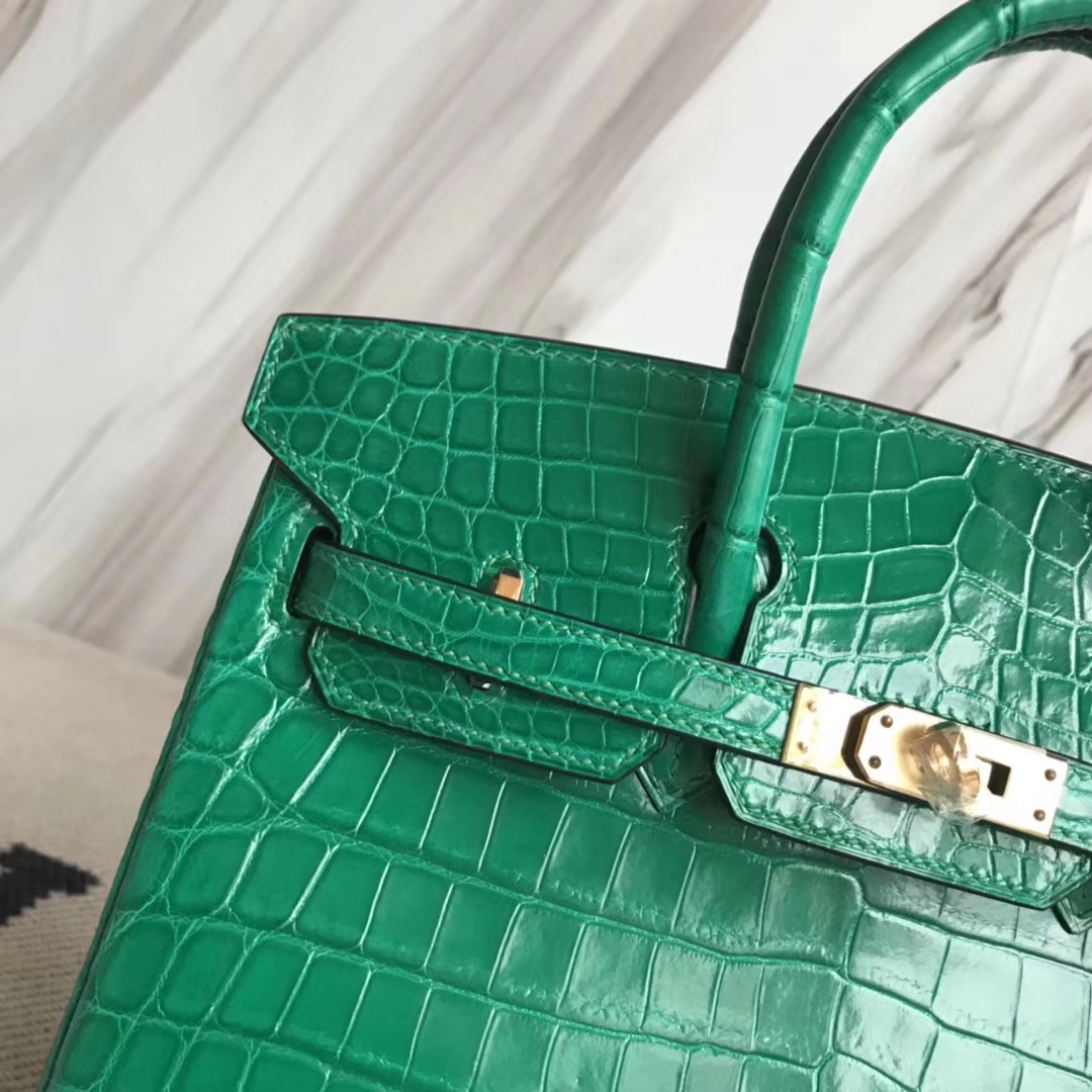Wholesale Hermes Birkin Bag25CM in 6Q Emerald Green Crocodile Shiny ...