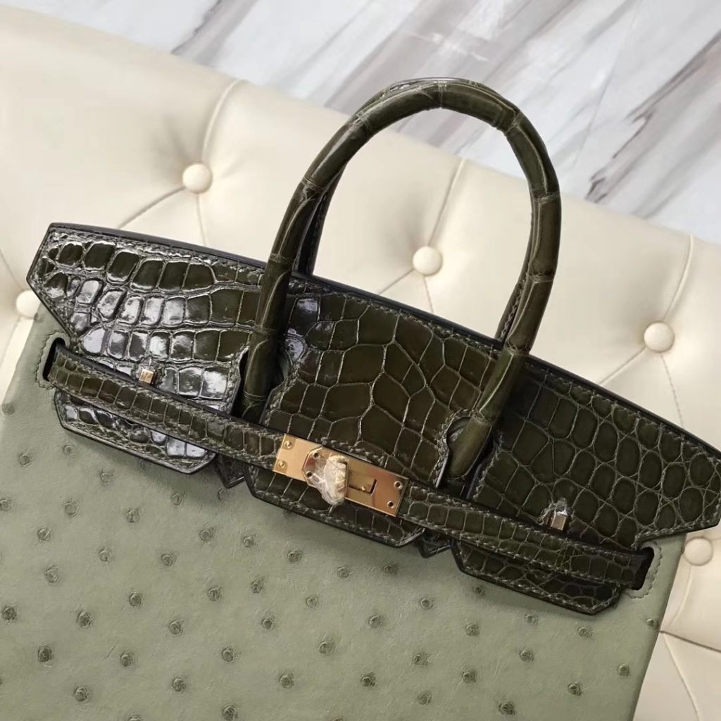 Luxury Hermes V6 Canopee Green Ostrich Leather/Olive Green Shiny ...