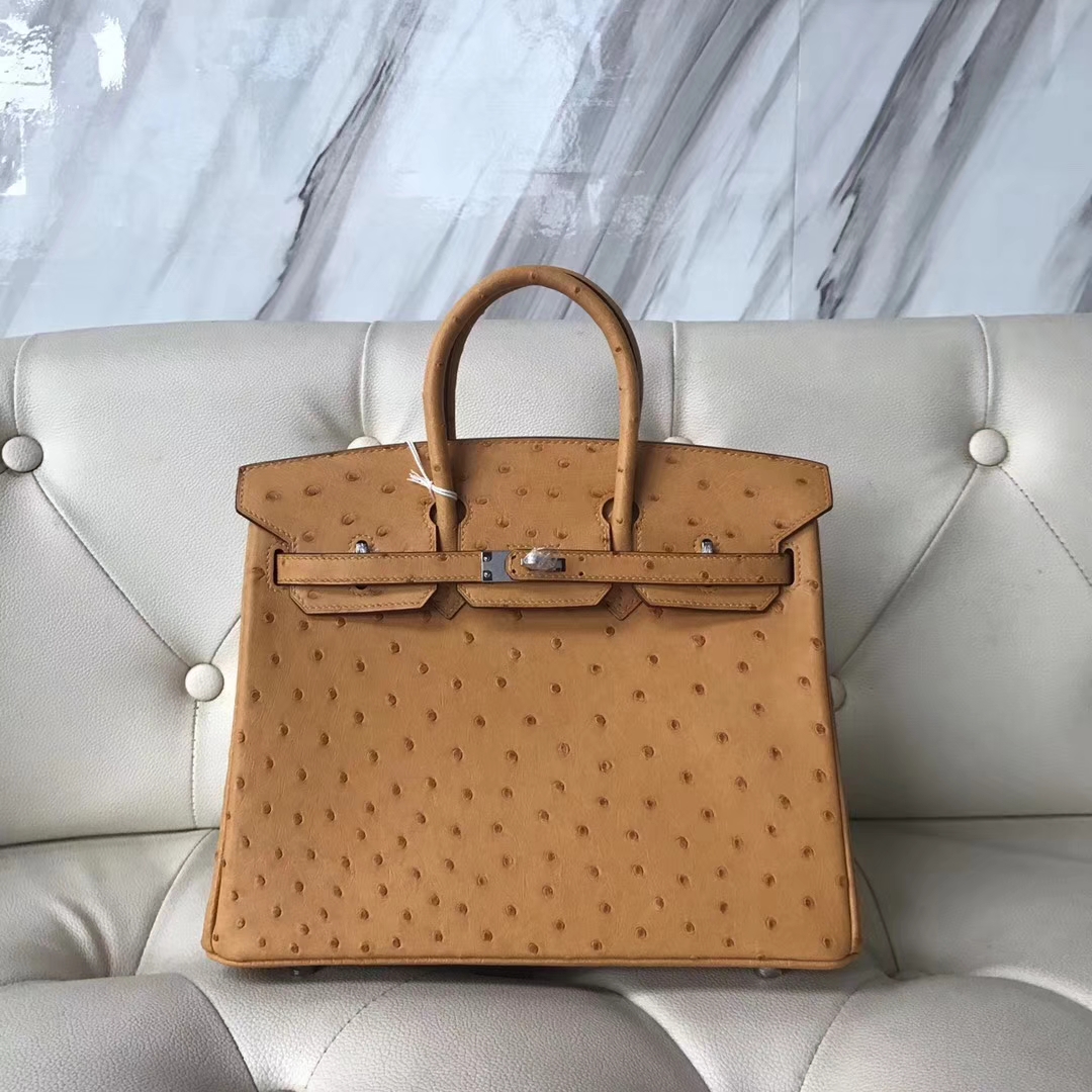 New Hermes Ostrich Leather Birkin25CM Tote Bag in Mustard Yellow Silver ...