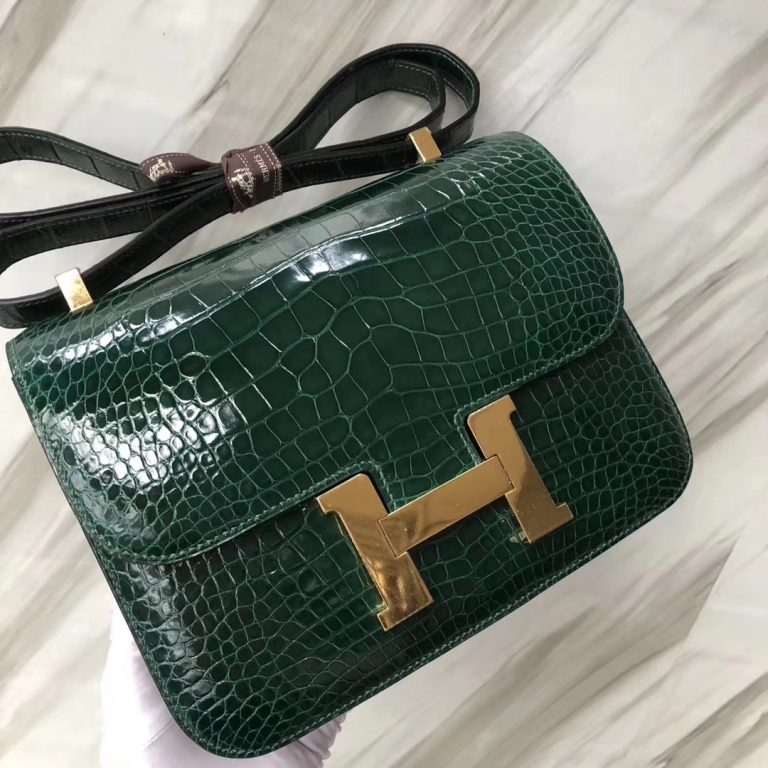 hermes constance crocodile