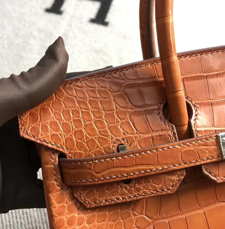 Stock Hermes Matt Crocodile Leather Birkin25CM Women’s Bag in Khaki ...
