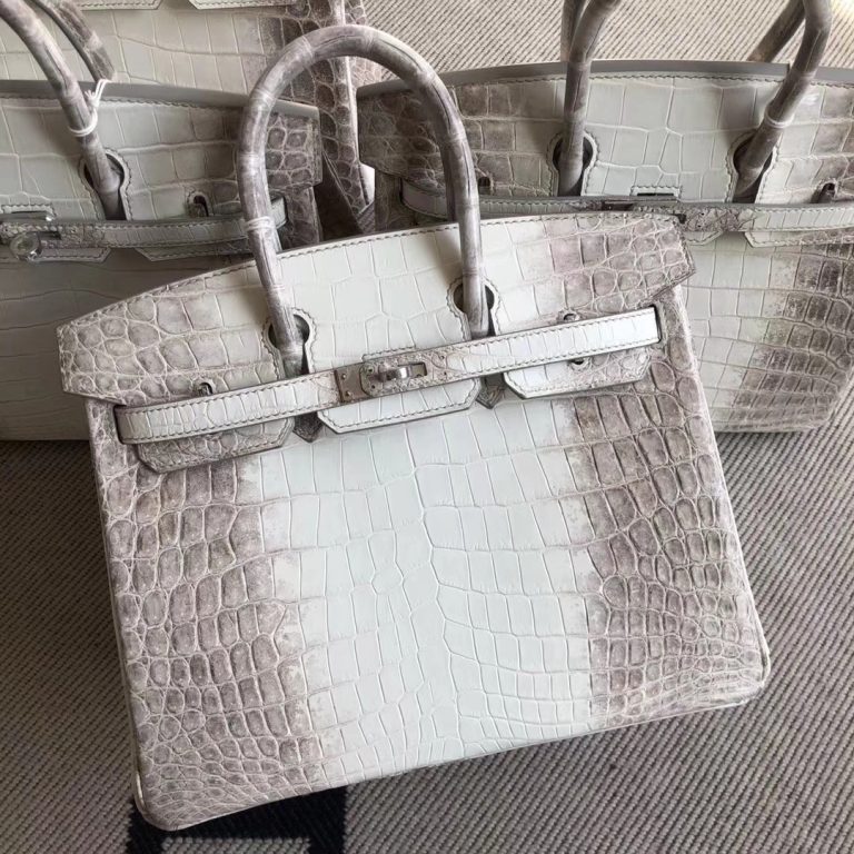 Stock Hermes Himalaya Crocodile Birkin Bag25CM Silver Hardware H